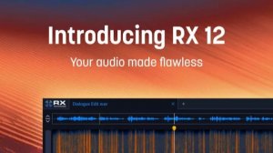 iZotope RX 12 Introducing