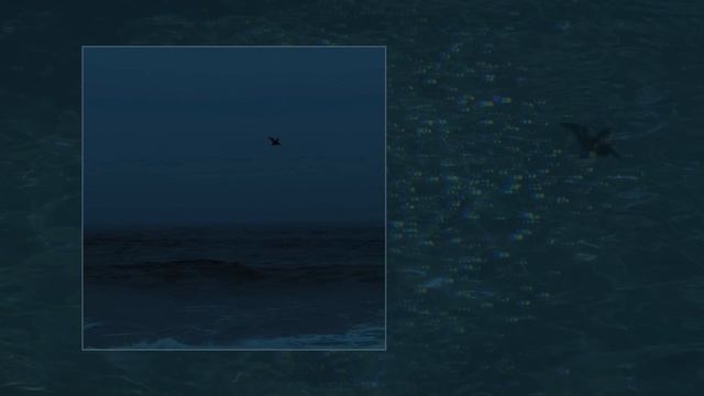 Noescape - Fading Aurora (Официальная премьера трека)
