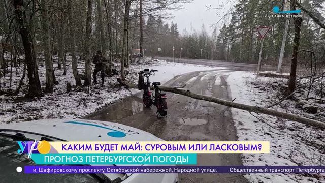 Какая погода ждёт Петербург в мае?