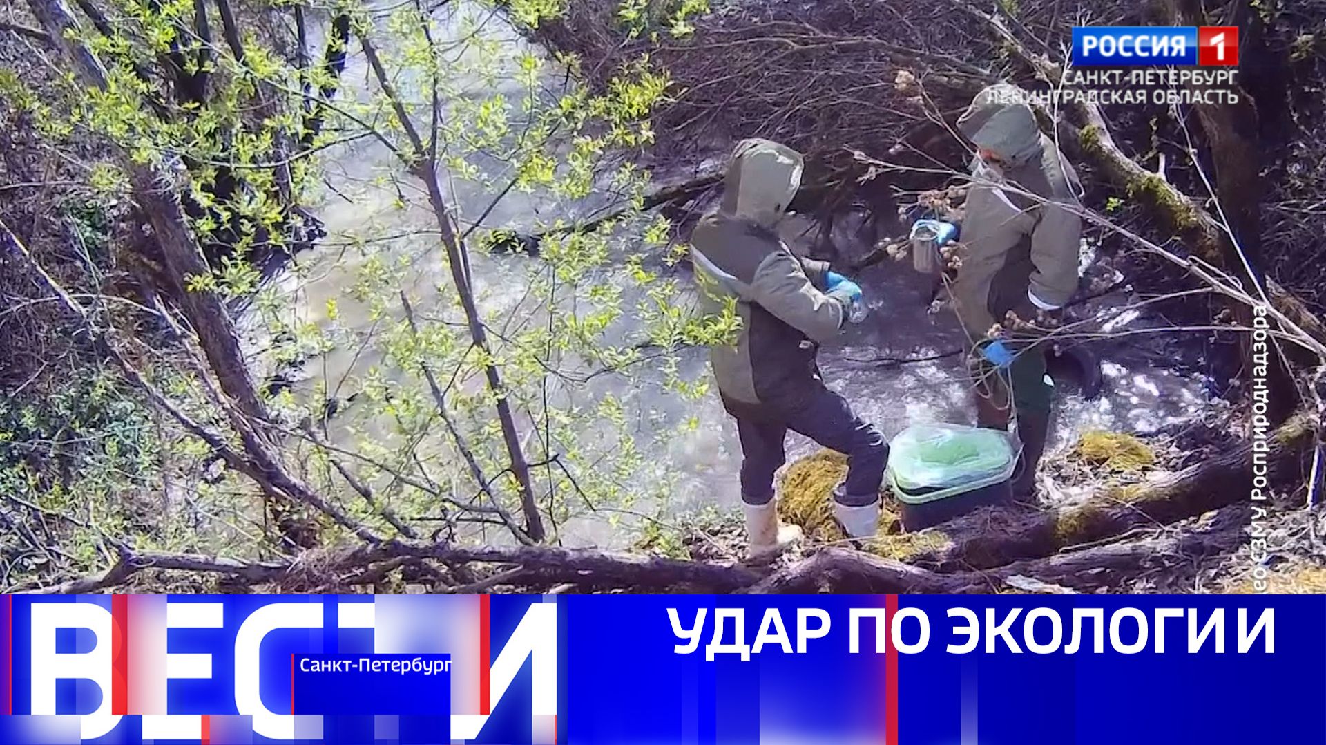 Вести Санкт-Петербург. Выпуск 11.30 от 29.04.2026