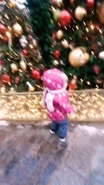 7 декабря 2024года.