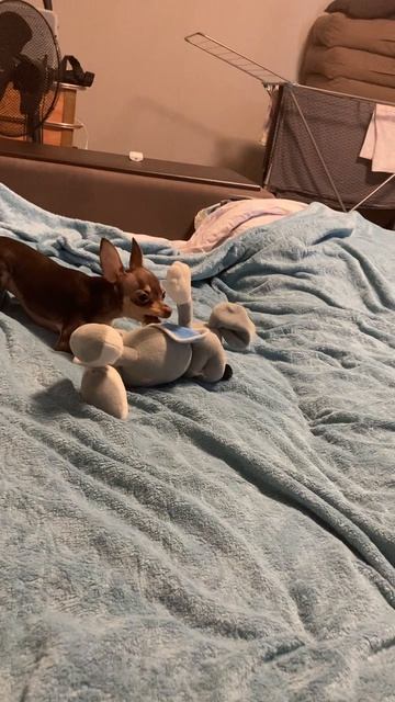 9c39d27de9084d60a8ee83fbd1274c37