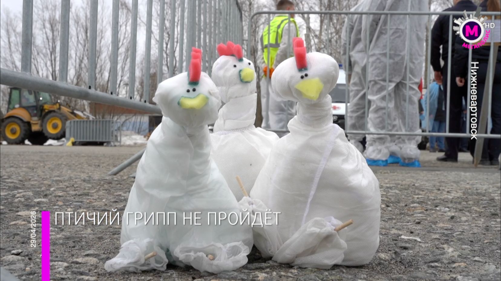 Тренировка по ликвидации птичьего гриппа - Нижневартовск