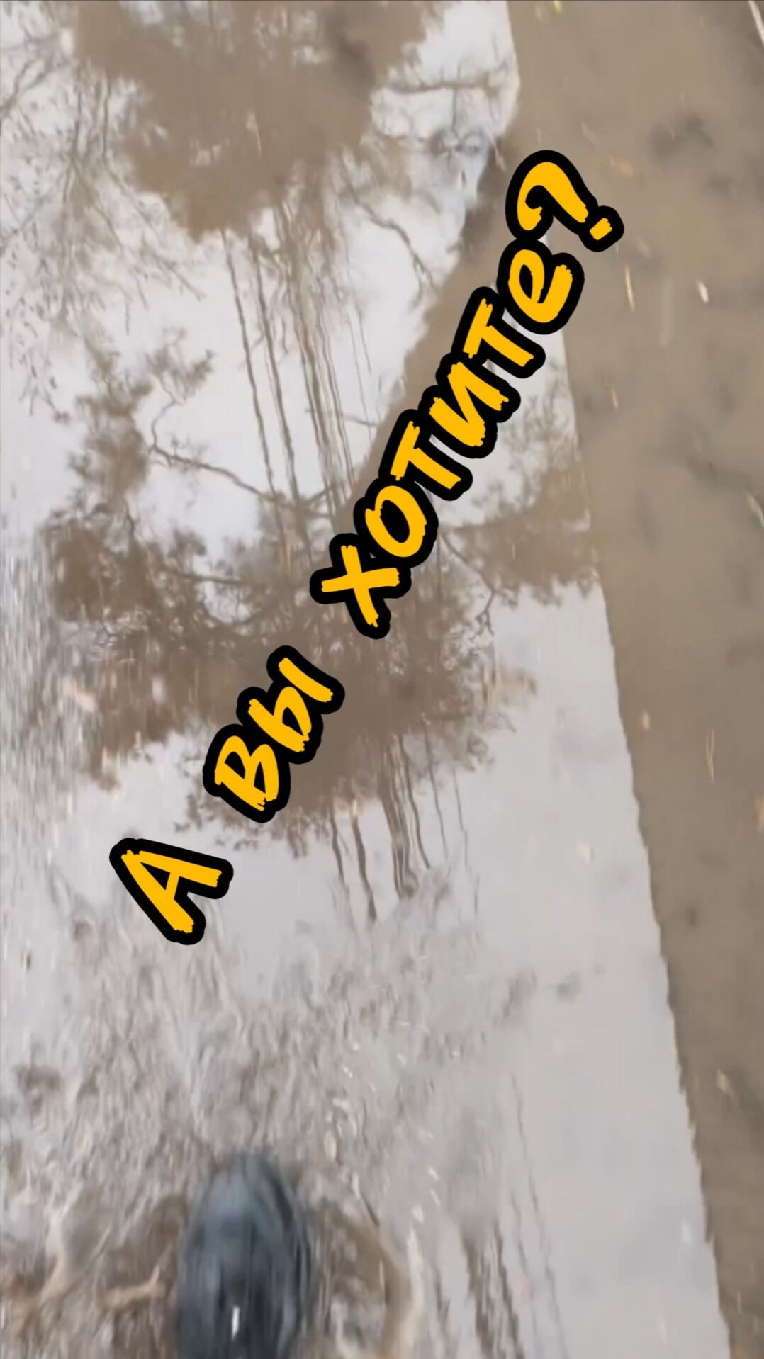А вы хотите?