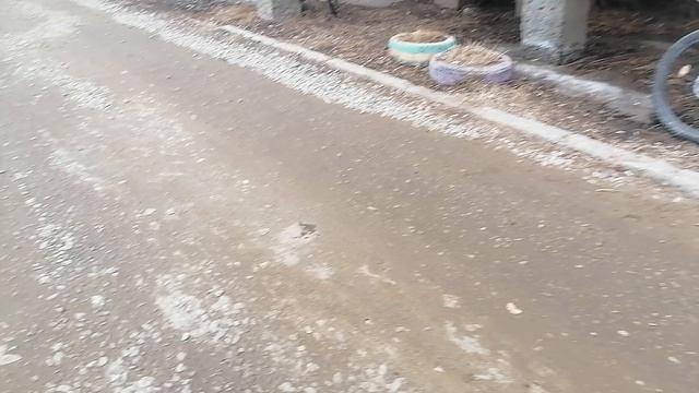 ВНИМАНИЕ! ВСЕ ДЛЯ ЖИТЕЛЕЙ ЯКУТСКА