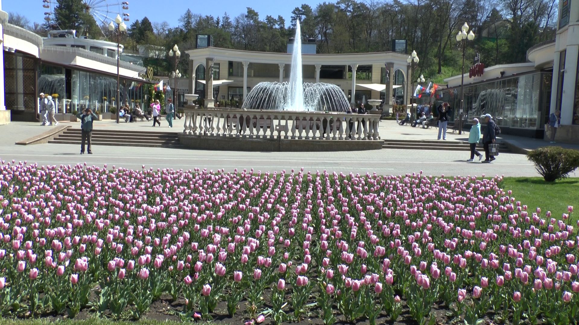 Кисловодск. Прогулка по парку и Курортному бульвару под пение птиц и цветение тюльпанов. 29.04. 2026