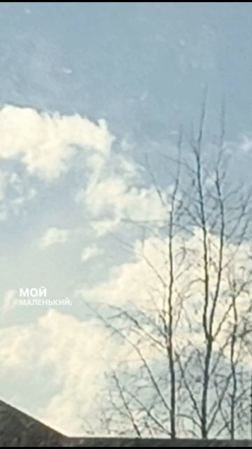 Облака белокрылые ромашки 