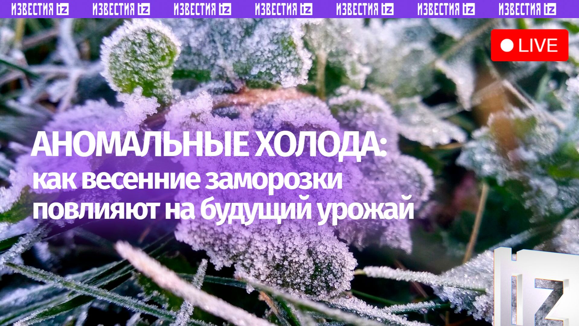 Влияние заморозков на урожай обсуждают в