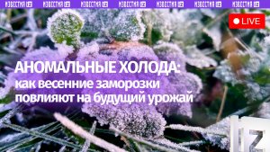 Влияние заморозков на урожай обсуждают в