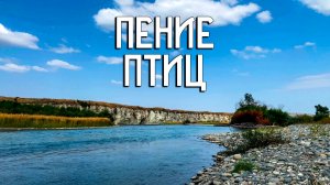 Пение птиц / Музыка самой природы / Гармония звука