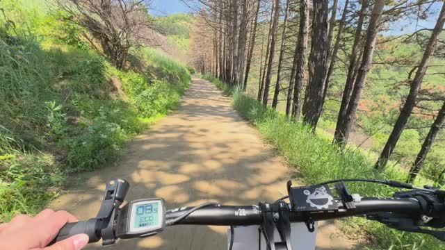 Короткое видео: наслаждаемся видами парка Кисловодска на электровелосипеде