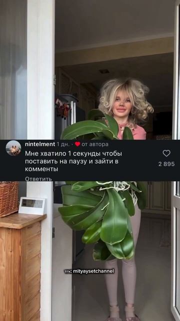 Без комментариев