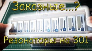 Гармонь Тульская 301М смена тональности и заказные резонаторы/БН440