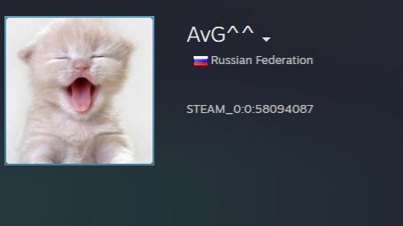 AVG PROSTI CHTO TAPNYL! CS:SOURCE