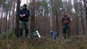 Поход на глухариный ток с ночёвкой (10-11 апреля 2026 года). Разглядываем глухарей между деревьями