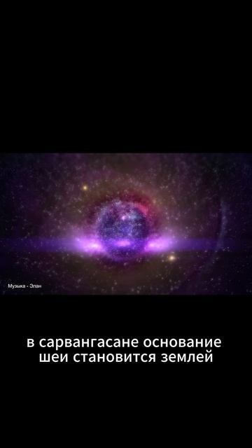 5 элементов в теле.
