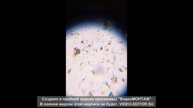 Новый проект микроскоп