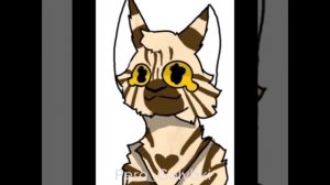 Эдит Пажочку﹥﹤