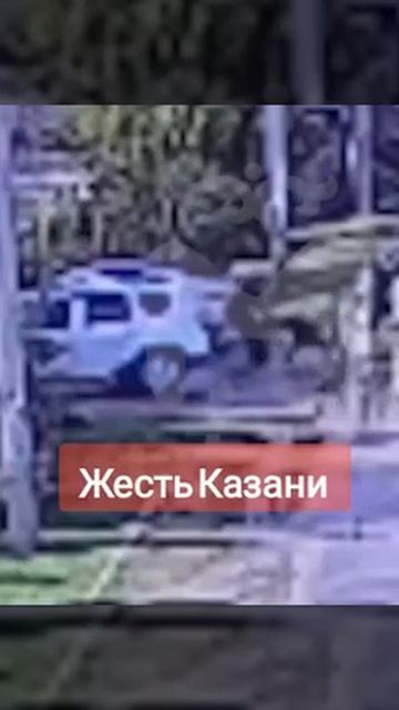 В Казани овчарка напала на девятиклассника