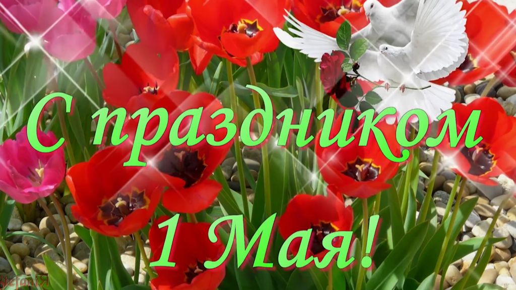 МУЗЫКАЛЬНОЕ ПОЗДРАВЛЕНИЕ С ПРАЗДНИКОМ ! МАЯ