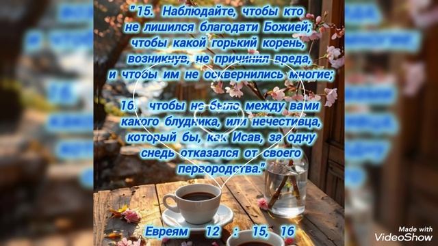 Принимай с благодарностью каждый новый день.