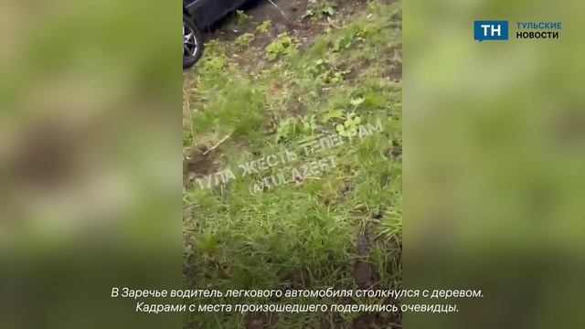 В Заречье водитель легкового автомобиля врезался в дерево