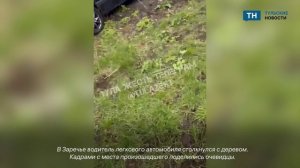 В Заречье водитель легкового автомобиля врезался в дерево