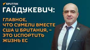 Гайдукевич: главное, что сумели вместе США и Британия, – это испортить жизнь ЕС