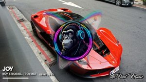 Joy - Roy Stroebel, TROYMER