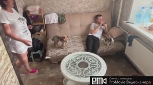 Домашний влог🫶