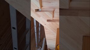 1000057220.mp4 (Собака наблюдает за устройством лестницы на 2-ой этаж в доме А-фрейм)