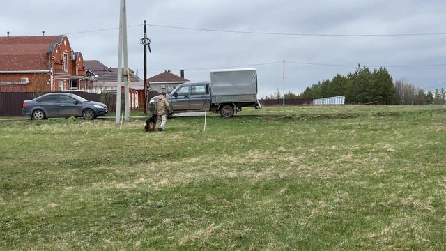 4.  выражено/перв URAL LAND VENDY MARVELL (Jackpot Team Carrera – Ural Land Ester)