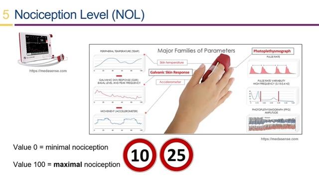 L.11.02 Controversies In Paediatric Pain Management, Bridging Theory To Practice