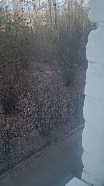 В городе у нас так