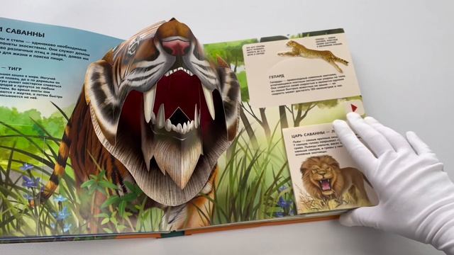 Животные. Большая наглядная 3D-энциклопедия