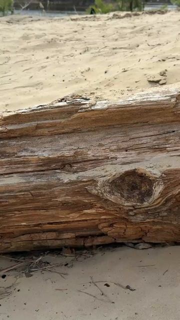 Принимай меня таким какой я есть