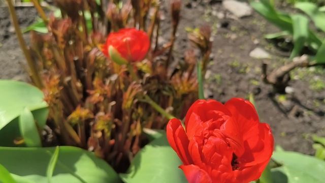 Красота в глазах смотрящего