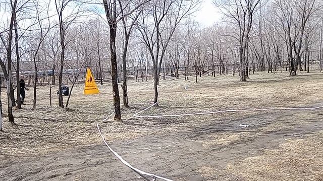 5 Отл. Future By Us PROMO +++ №13. КОМСОМОЛЬСК-НА-АМУРЕ 26 апреля`26 Моно немецких овчарок