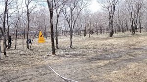 5 Отл. Future By Us PROMO +++ №13. КОМСОМОЛЬСК-НА-АМУРЕ 26 апреля`26 Моно немецких овчарок