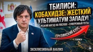 Ираклий Кобахидзе РЕЗКО НАЕХАЛ на западных послов — Грузия выбирает свой путь