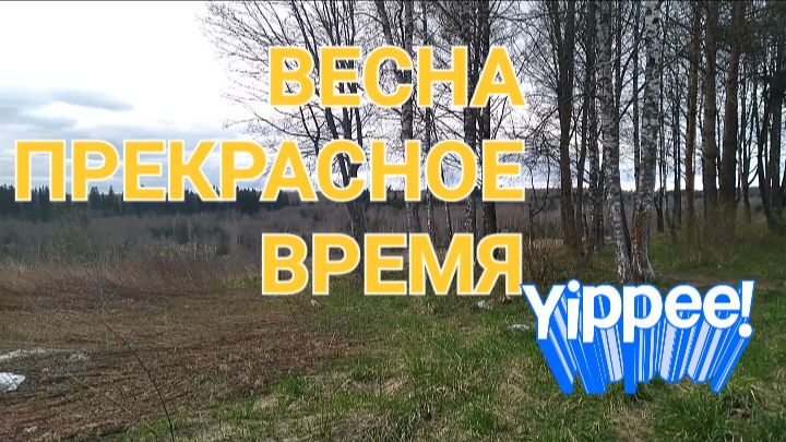 РЕШИЛА ПРОГУЛЬНУТЬСЯАЙ ДА СО МНОЙ