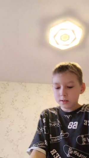 делаю уроки