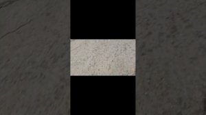 влог с реборном