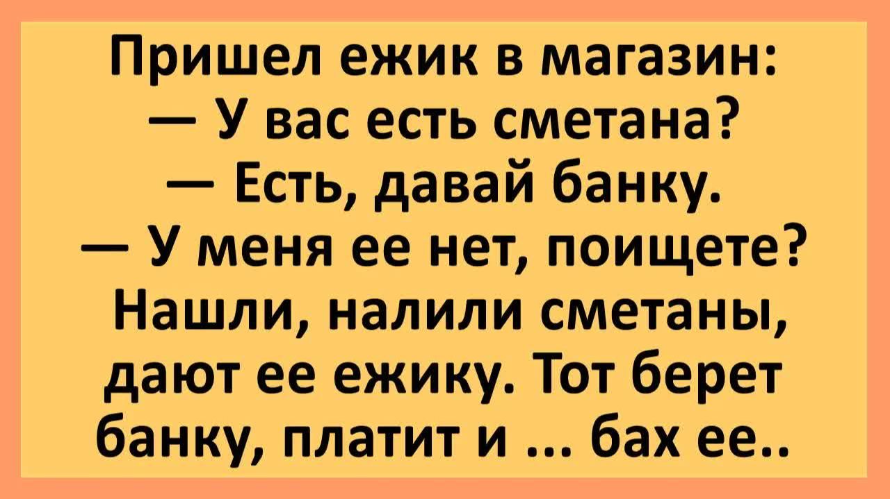 Пришел ежик в магазин: у вас есть сметана?...  Анекдоты смешные  Юмор