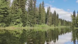 МЕДВЕЖИЙ СЕЗОН, ОХОТА С ЛАБАЗА НА ПРИВАДЕ