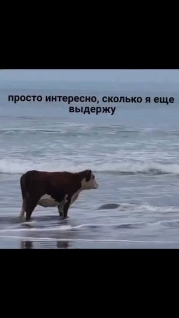 ЖБС Фундамент Великий Новгород