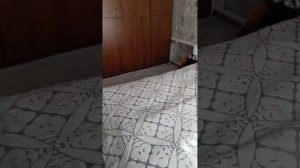1000460780.mp4
