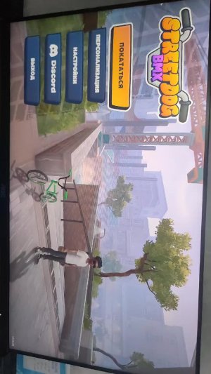 катаемся в streetdog bmx