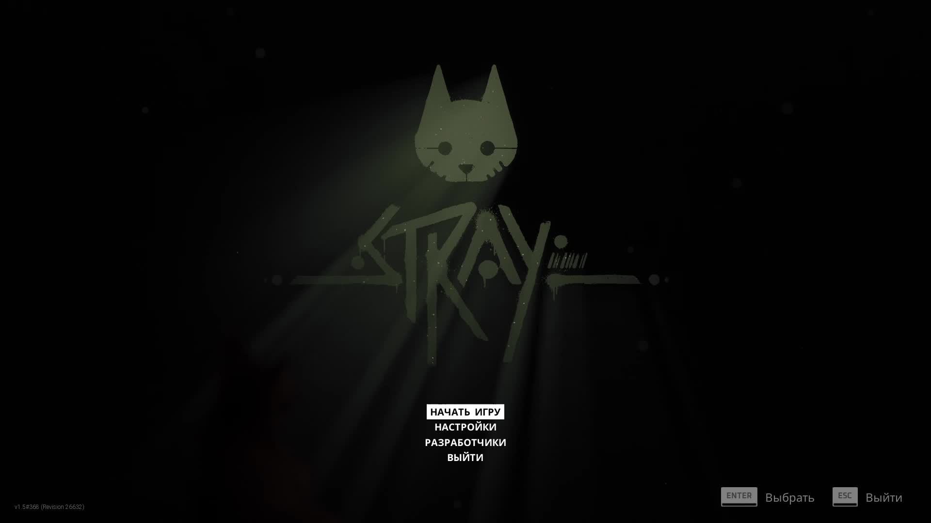 Stray 5