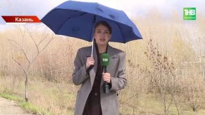 Ураган в Татарстане: 42 поваленных дерева, 18 разбитых авто и пострадавшая в Менделеевске